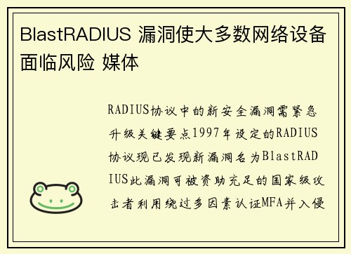 BlastRADIUS 漏洞使大多数网络设备面临风险 媒体