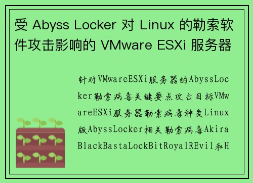受 Abyss Locker 对 Linux 的勒索软件攻击影响的 VMware ESXi 服务器 