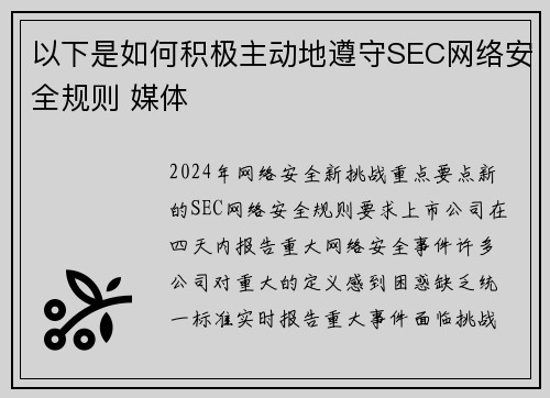 以下是如何积极主动地遵守SEC网络安全规则 媒体